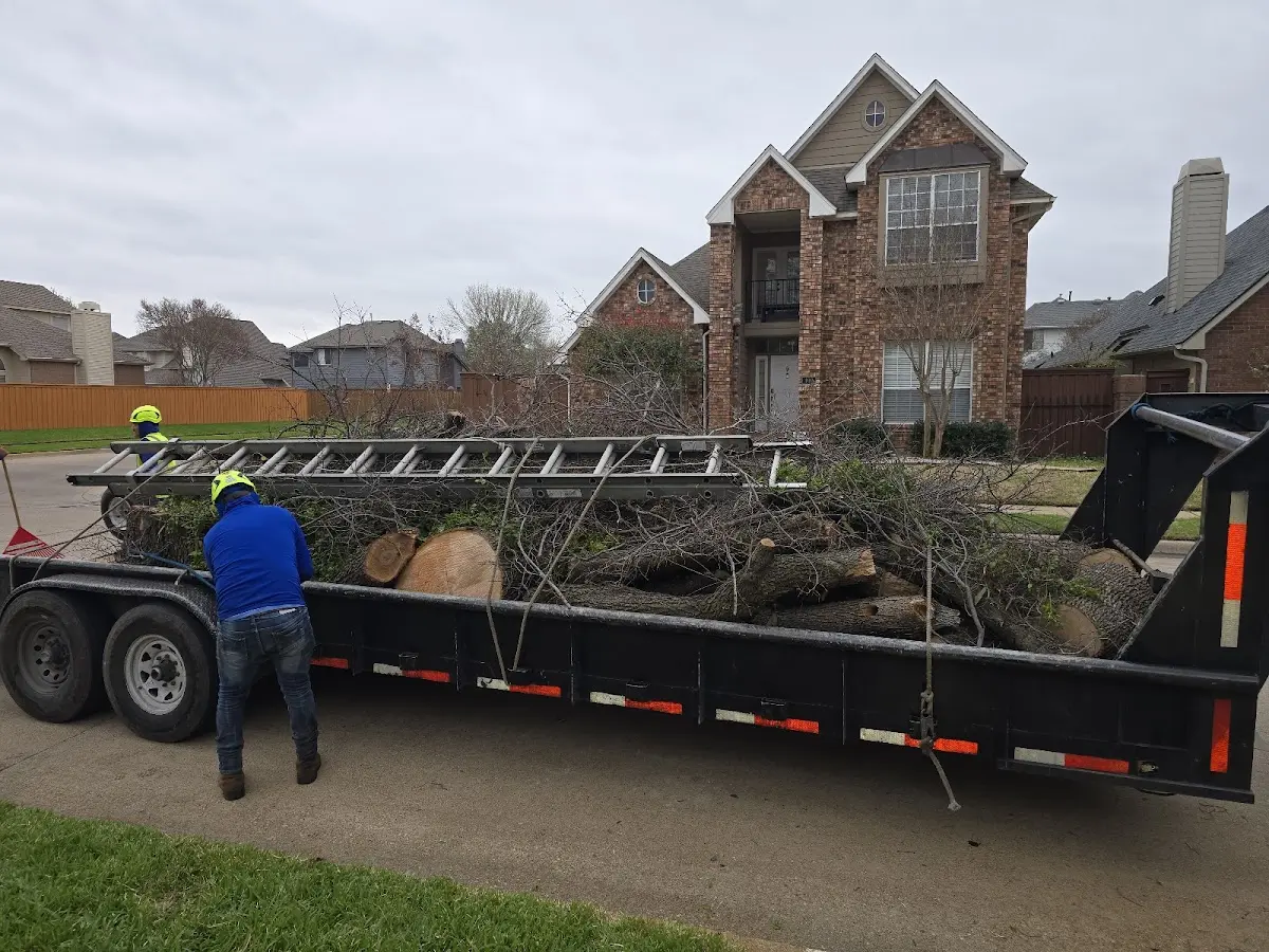 Expert Lot Clearing with proper safety equipment in Rulo